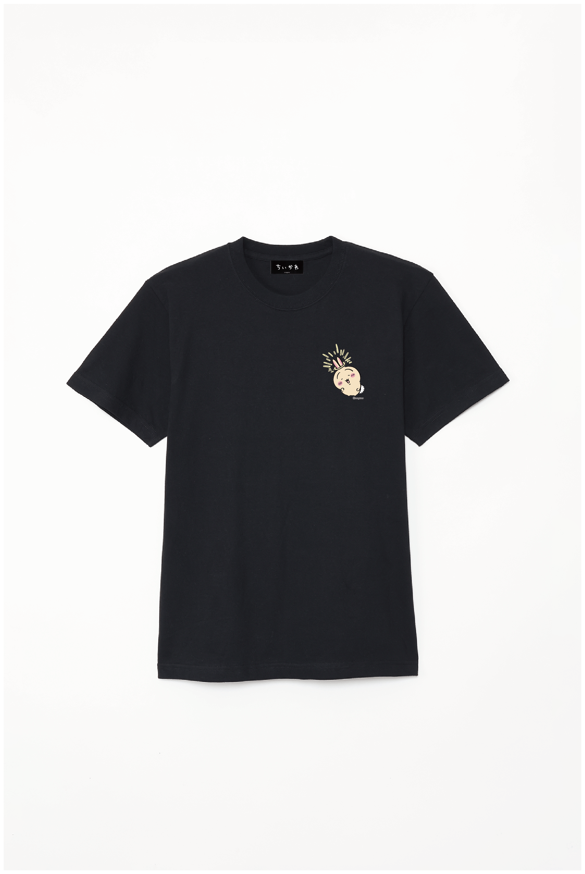 500101_002_101_1133_ck-