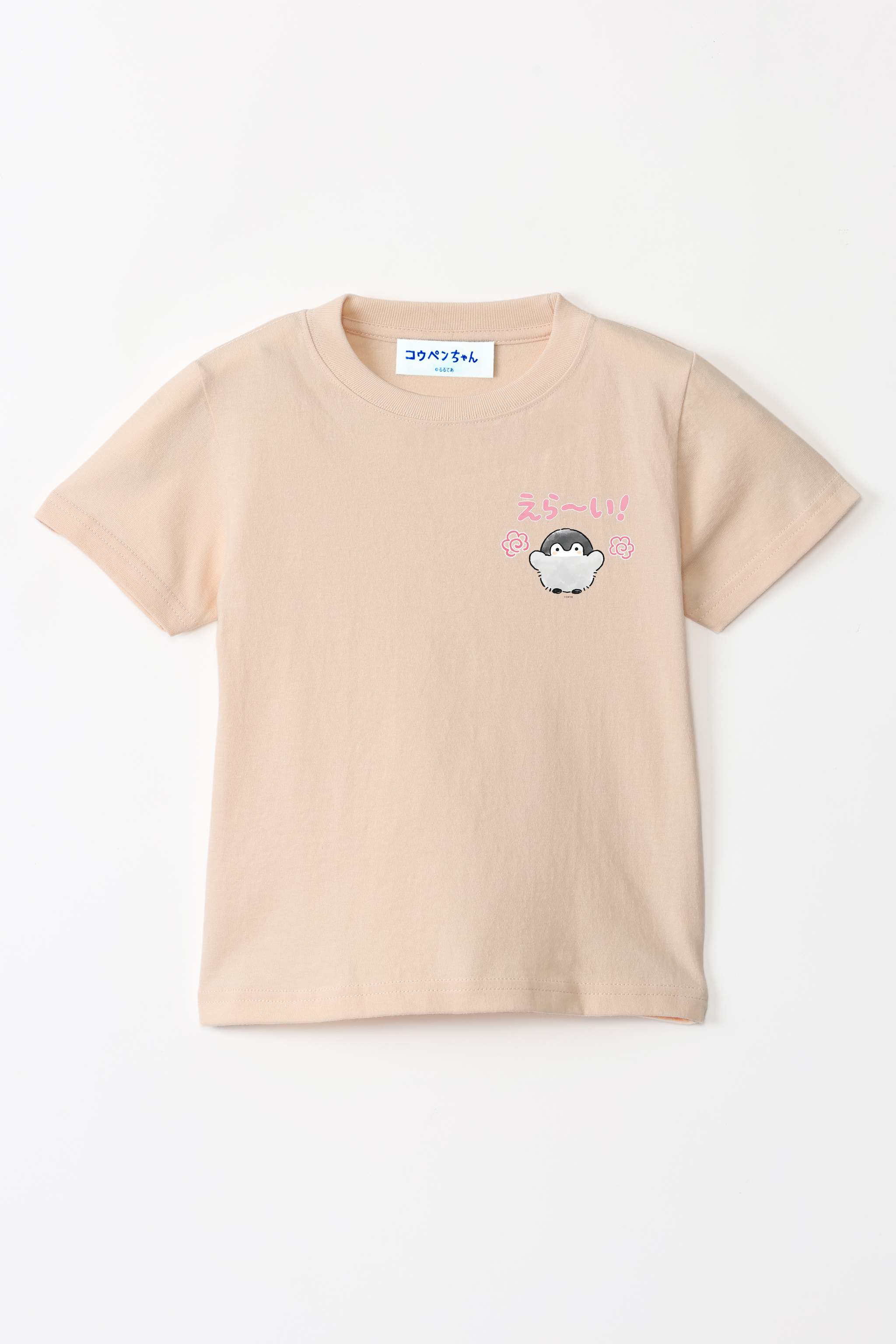 erai__T____05_2a7c0f1f-715b-