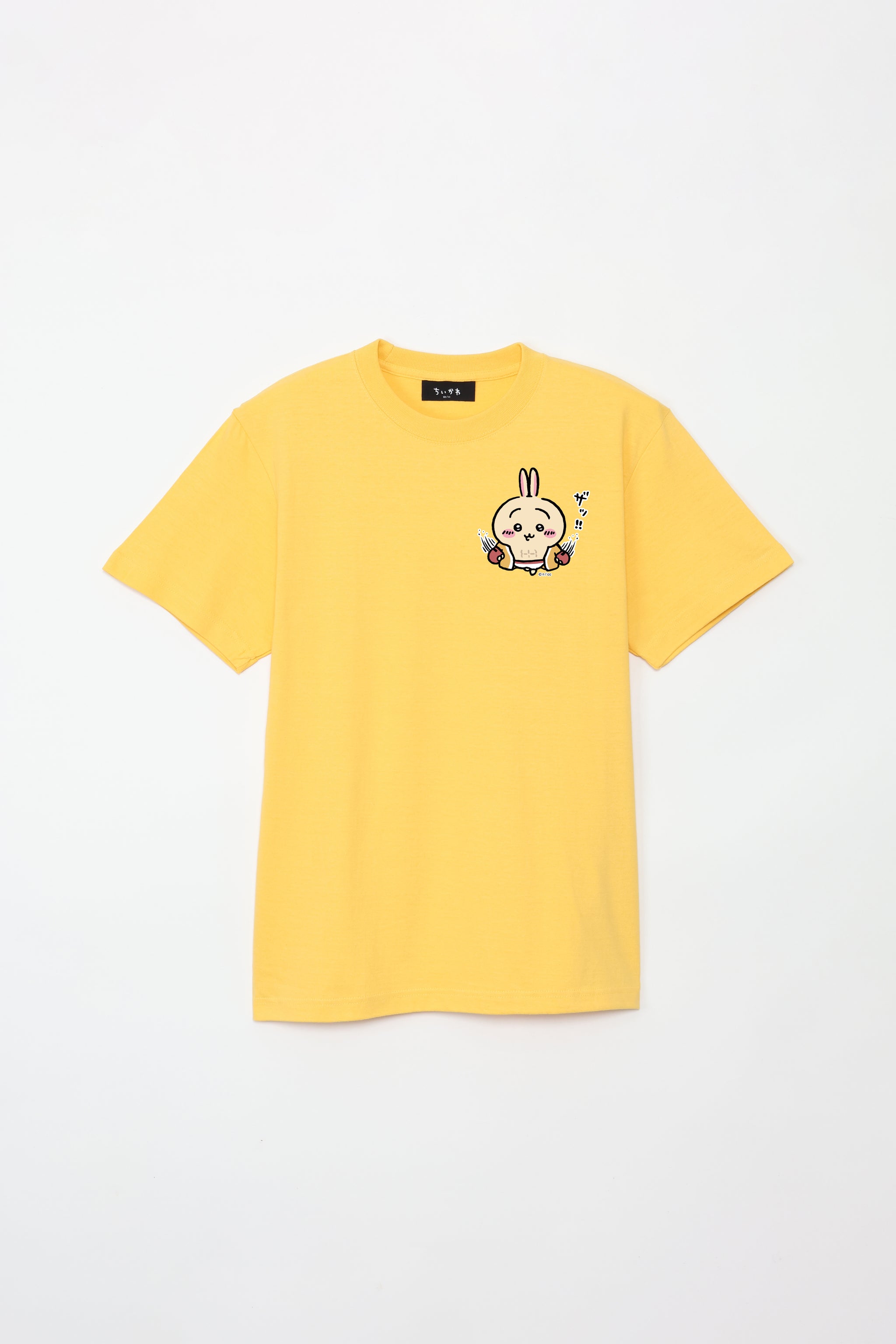 rizin_T____1_f2c6f9e3-0137-